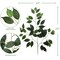 12-Pack Artificial Ficus Branches — 22" Stems with 42 Silk Leaves Each, Faux Greenery for Vases, Bouquets & DIY Arrangements | Floral Home